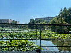 -3W咖啡(国家软件园店)