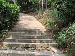 景点-大阳山国家森林公园