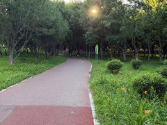 -北坞公园