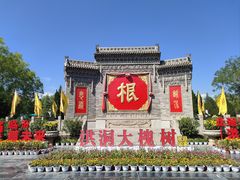 -大槐树寻根祭祖园
