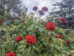 -国家植物园南园