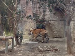 -盐帮食坊•小河帮川菜(四川师大店)