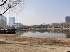 -西海子公园