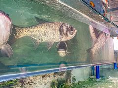 -食理八湘(中海城风情苑北区店)