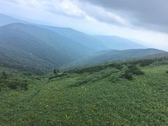 -凤凰山国家森林公园