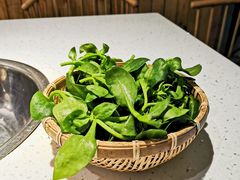 -攀枝花野菜铜火锅(万科凯德店)