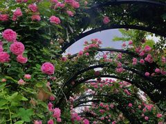 -廊坊文化艺术中心