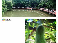 -青青世界