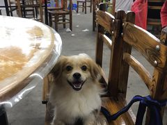 -明记海鲜大排档(巽寮湾店)