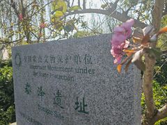 -上海崧泽遗址博物馆