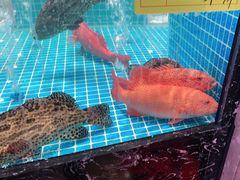 -文涵小院·邻里厨房