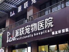 -派联宠物医院·24h·CT·异宠