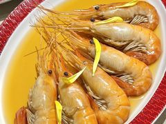 -圆苑(静安寺店)