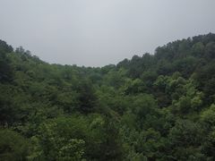 -磬锤峰森林公园