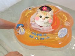 -琅悦月子会所(香格里拉旗舰店)