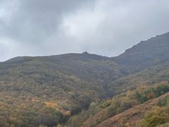 -灵山