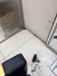 -世田造型
