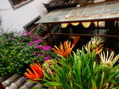 -浔岚云舍mist静谧观景美宿(丽江古城店)