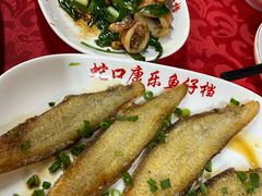-蛇口康乐快餐鱼仔档(翠苑小区店)