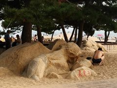 -老虎石海上公园