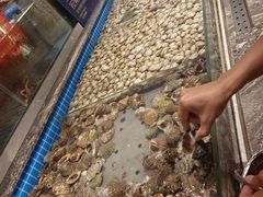 -一方渔歌蒸汽海鲜自助(文化路万达广场店)