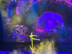 -水秀国际大剧院