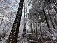 -东白山