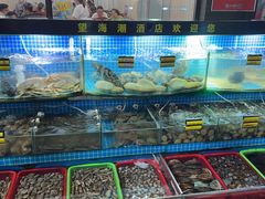 -望海潮海鲜店 特色家常菜(在海一方店)