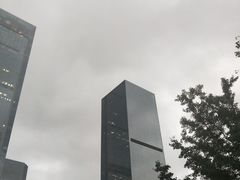 -重庆市江北嘴中央商务区中央公园