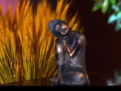 -泰融玺·泰式按摩SPA(包河万达店)