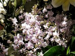 -春暖花开(西溪店)