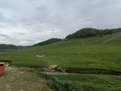 -关山草原