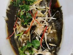 -烁佳海鲜大馅饺子
