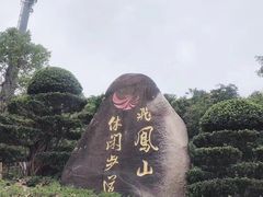 -飞凤山奥体公园
