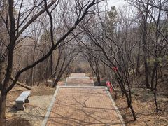 -西尖山公园