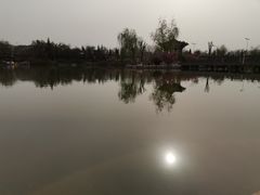-大槐树寻根祭祖园