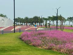 -野狸岛