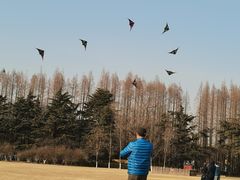 -汇泉广场