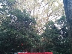 -西湖风景区十里琅珰-五云山