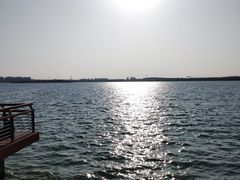 -丁香湖公园