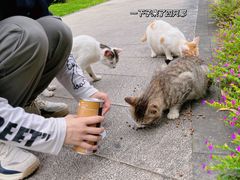 -晓港公园