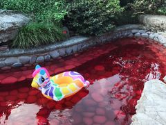 -杭州第一世界大酒店·云曼温泉
