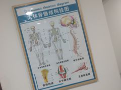 -杏林康桥中医正骨·体态矫正·跌打损伤·推拿按摩(国贸建外SOHO店)