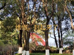 -玉树公园