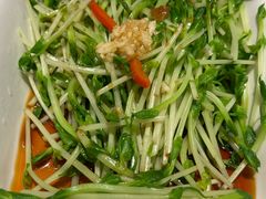 白灼豆苗-火宫殿·湘菜小吃·商务宴请·生日聚会(东塘店)