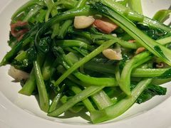 -许家菜(DT51店)