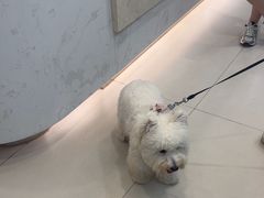 -虹泰宠物医院 ·旗舰店·24h(南秀路店)