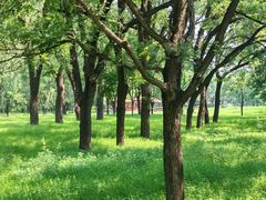 -承德避暑山庄景区