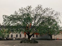 -三峡梯城