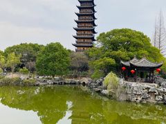 -锡笼记·无锡小笼(方塔店)